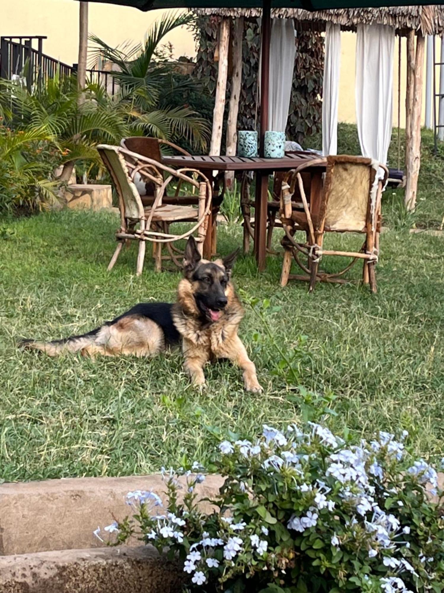 Bed and Breakfast Stasumo House Arusha Esterno foto
