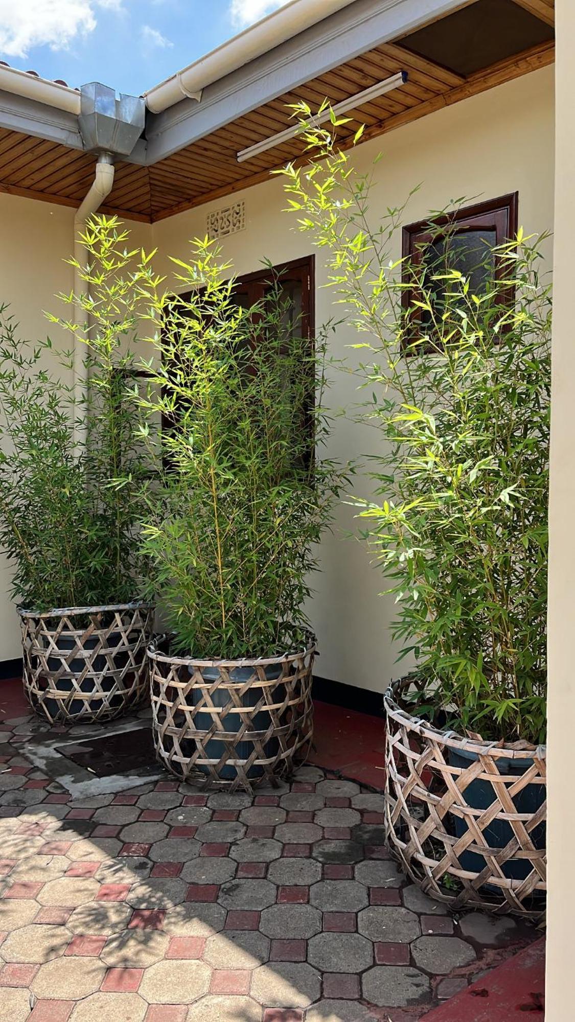 Bed and Breakfast Stasumo House Arusha Esterno foto